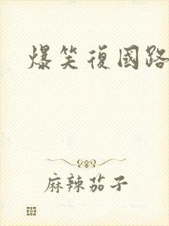 爆笑复国路