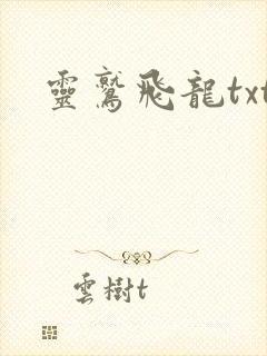 灵鹫飞龙txt