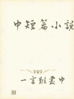 中短篇小说集