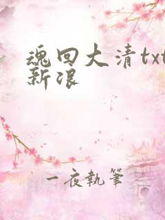 魂回大清txt新浪