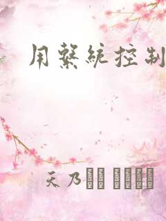 用系统控制女神