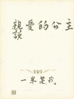 亲爱的公主病小说