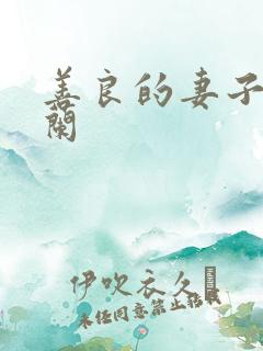 善良的妻子王晓兰