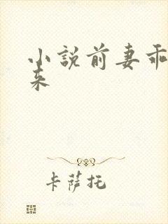 小说前妻乖乖回来