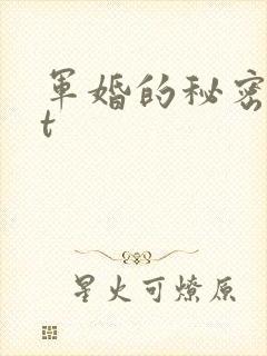 军婚的秘密txt