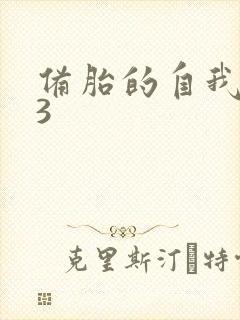 备胎的自我修养3