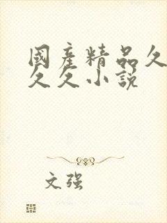 国产精品久久久久久小说