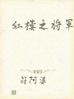 红楼之将军
