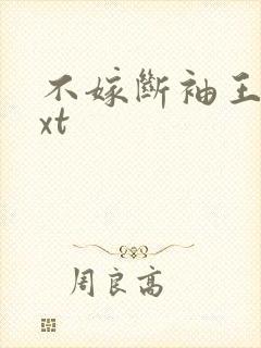 不嫁断袖王爷txt