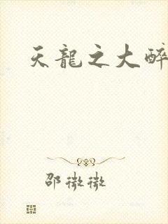 天龙之大醉侠