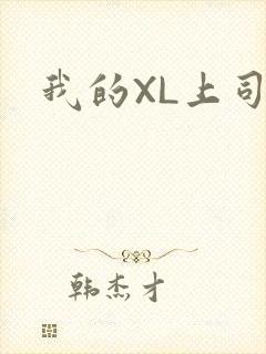 我的XL上司
