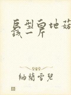 巨型白地菇多少钱一斤