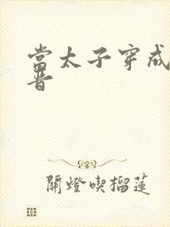 当太子穿成大福晋