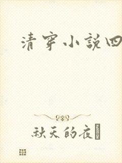 清穿小说四四