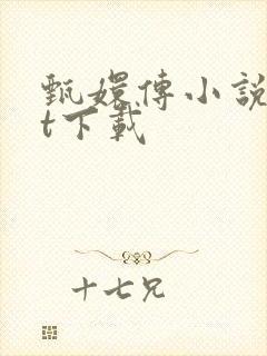 甄嬛传小说txt下载