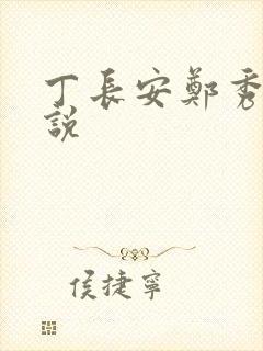 丁长安郑秀兰小说