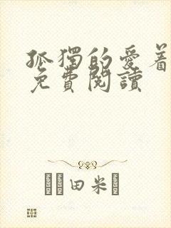 孤独的爱着全文免费阅读