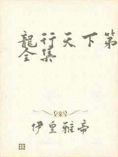 龙行天下第3部全集