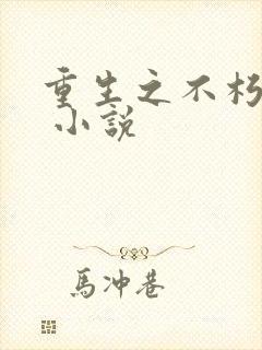 重生之不朽传奇 小说