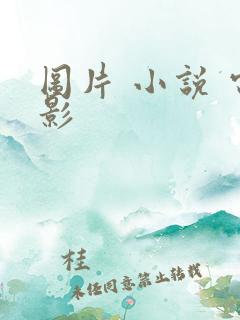 图片 小说 电影