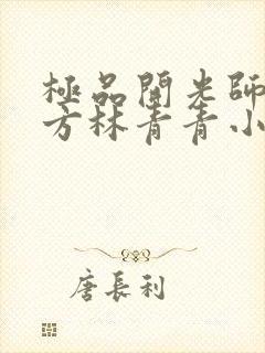 极品开光师李南方林青青小说叫