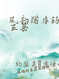 风韵犹存的四十五岳