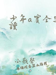 少年a宾全集阅读