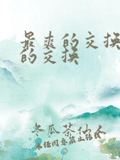 最爽的交换疯狂的交换