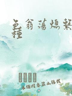 色翁荡熄系列借种