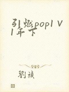 引燃pop1∨1年下