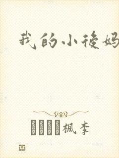 我的小后妈小说