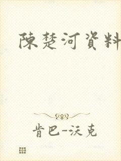 陈楚河资料