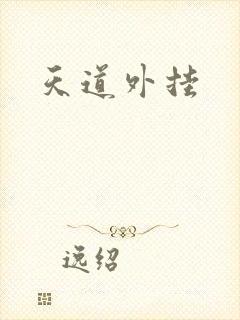 天道外挂