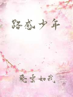 路感少年