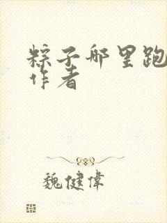 粽子哪里跑小说作者