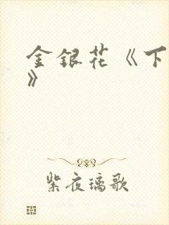 金银花《下厨房》