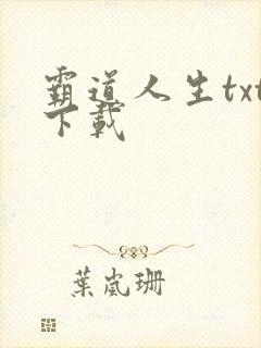 霸道人生txt下载