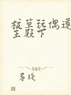 校草玩偶遵命公主殿下