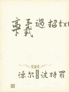 高手过招txt下载