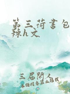 第三荷书包网高辣h文