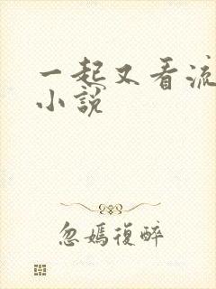 一起又看流星雨小说
