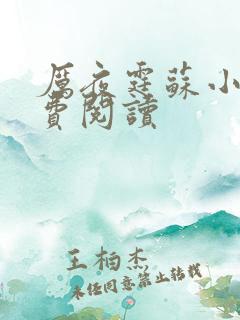 厉夜霆苏小汐免费阅读