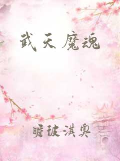 武天魔魂