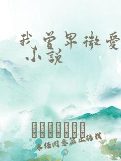 我曾卑微爱过你 小说