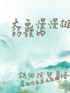 大龟慢慢挺进我的体内