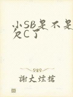 小SB是不是又欠C了