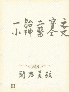 一胎二宝之弃妃小神医全文免费阅读