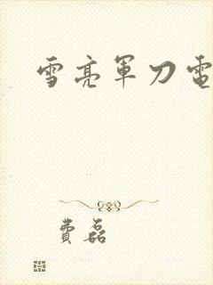 雪亮军刀电视剧