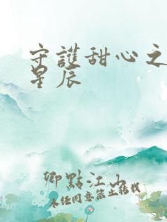 守护甜心之暗夜星辰