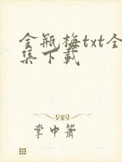 金瓶梅txt全集下载